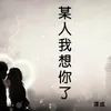 About 某人我想你了 Song