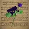 贝多芬月 月光曲 第一乐章 升C小调 in C-Sharp Minor, Op. 27 No. 2 "Moonlight Sonata": I. Adagio sostenuto