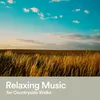 Relaxing Music for Countryside Walks, Pt. 2