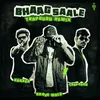 About Bhaag Saale Song