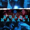 About Kullu Manali Song