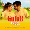 About Gulab Phool Song