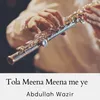 About Tola Meena Meena me ye Song