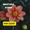 Kar Çiçeği