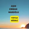 About Yayla Güzeli Song