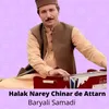 About Halak Narey Chinar De Attarn Song