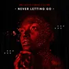 About Never letting go Song