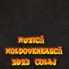 Muzica Moldoveneasca, Vol. 1