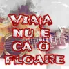 About Muzica De Petrecere Si Voie Buna Song