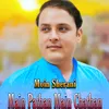 About Main Pathan Main Chathan Song