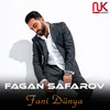 About Fani Dünya Song