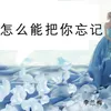 About 怎么能把你忘记 Song