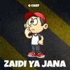 About Zaidi Ya Jana Song