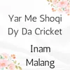 About Yar Me Shoqi Dy Da Cricket Song