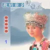 青春舞曲