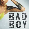 About Bad boy Song