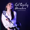 About Gəl Qoşulaq Durnalara Song