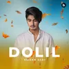 About Dolil Song