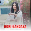 About Hori Gandasa Song