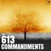 About 613 Commandments Song