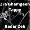 About Zra Ghamgeen Tappy Song