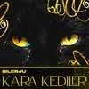 About Kara Kediler Song
