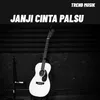 About JANJI CINTA PALSU Song