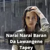 About Narai Narai Baran Da Lawangene Tapey Song
