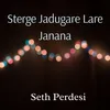 About Sterge Jadugare Lare Janana Song