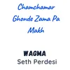 About Chamchamar Ghonde Zama Pa Makh Song