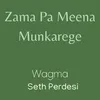 About Zama Pa Meena Munkarege Song