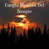 About Enegia Positiva Del Bosque Song