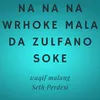 About Na Na Na Wrhoke Mala Da Zulfano Soke Song