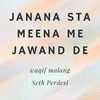 About Janana Sta Meena Me Jawand de Song