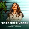 About Tere Bin Zindagi Song