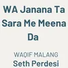 About WA Janana Ta Sara Me Meena Da Song