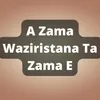 About A Zama Waziristana Ta Zama E Song