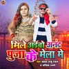 About Mile Aibo Anand Puja Ke Mela Me Song