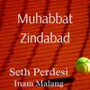 About Muhabbat Zindabad Song