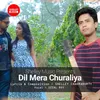 About Dil Mera Churaliya Song