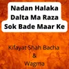 About Nadan Halaka Dalta Ma Raza Sok Bade Maar Ke Song