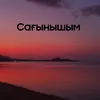 About Сағынышым Song