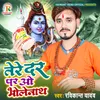 About Tere Dar Par O Bholenath Song