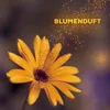 About Blumenduft Song