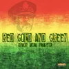 About Red Gold And Green Song