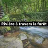 La rivière coule à travers la forêt