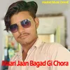 Maari Jaan Bagad Gi Chora