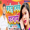 About Kailu Hamke Badnam Song