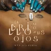 About El Brillo de Tus Ojos Song