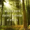 Música Para Relajarse Y Meditar